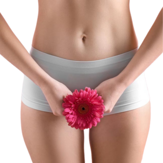 Overview of intimate and pelvic reconstructive procedures